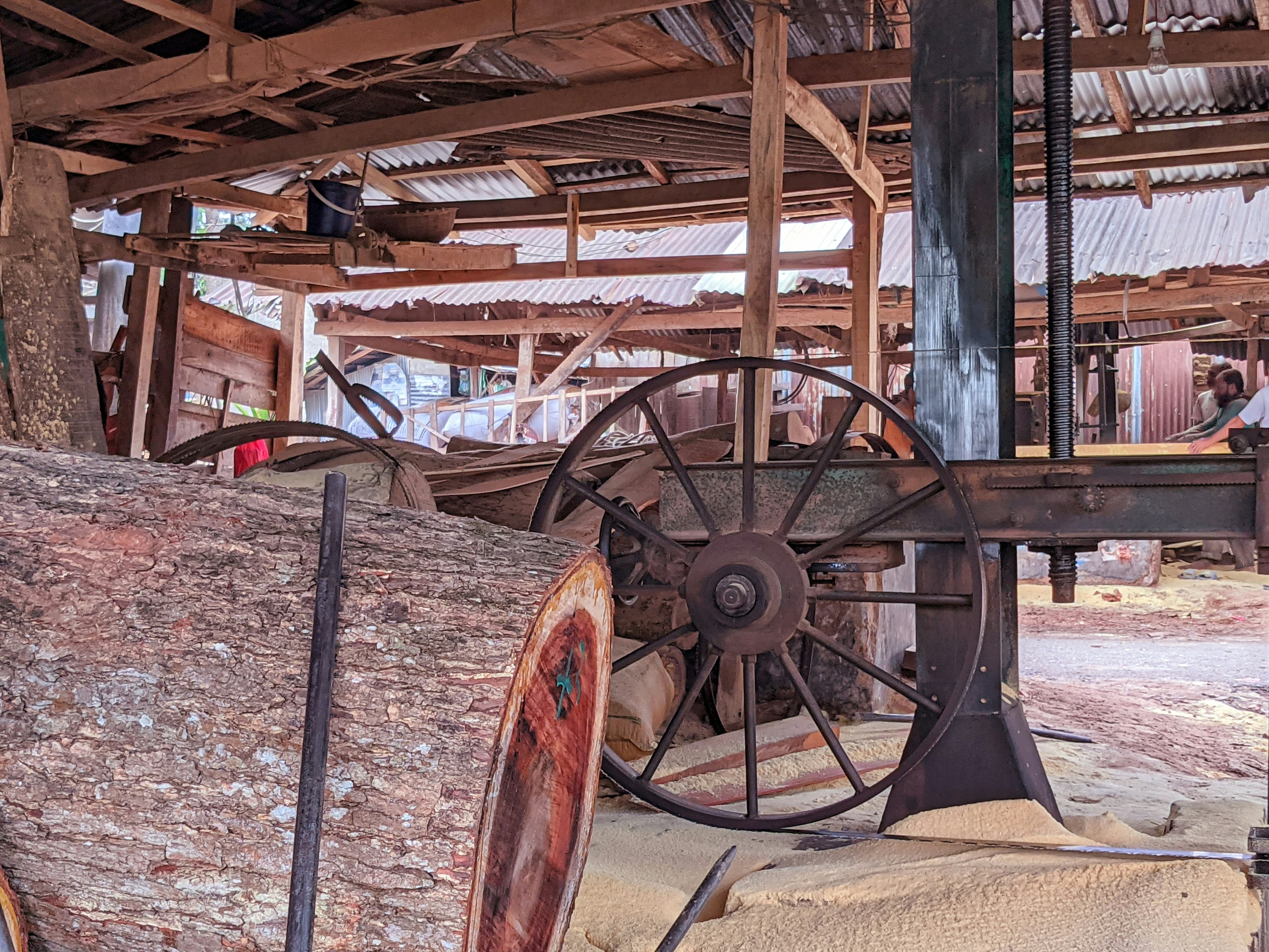 West Coast Sawmills in 2026: Capacity Cuts, Tariff Pressure, and a Region in Transition