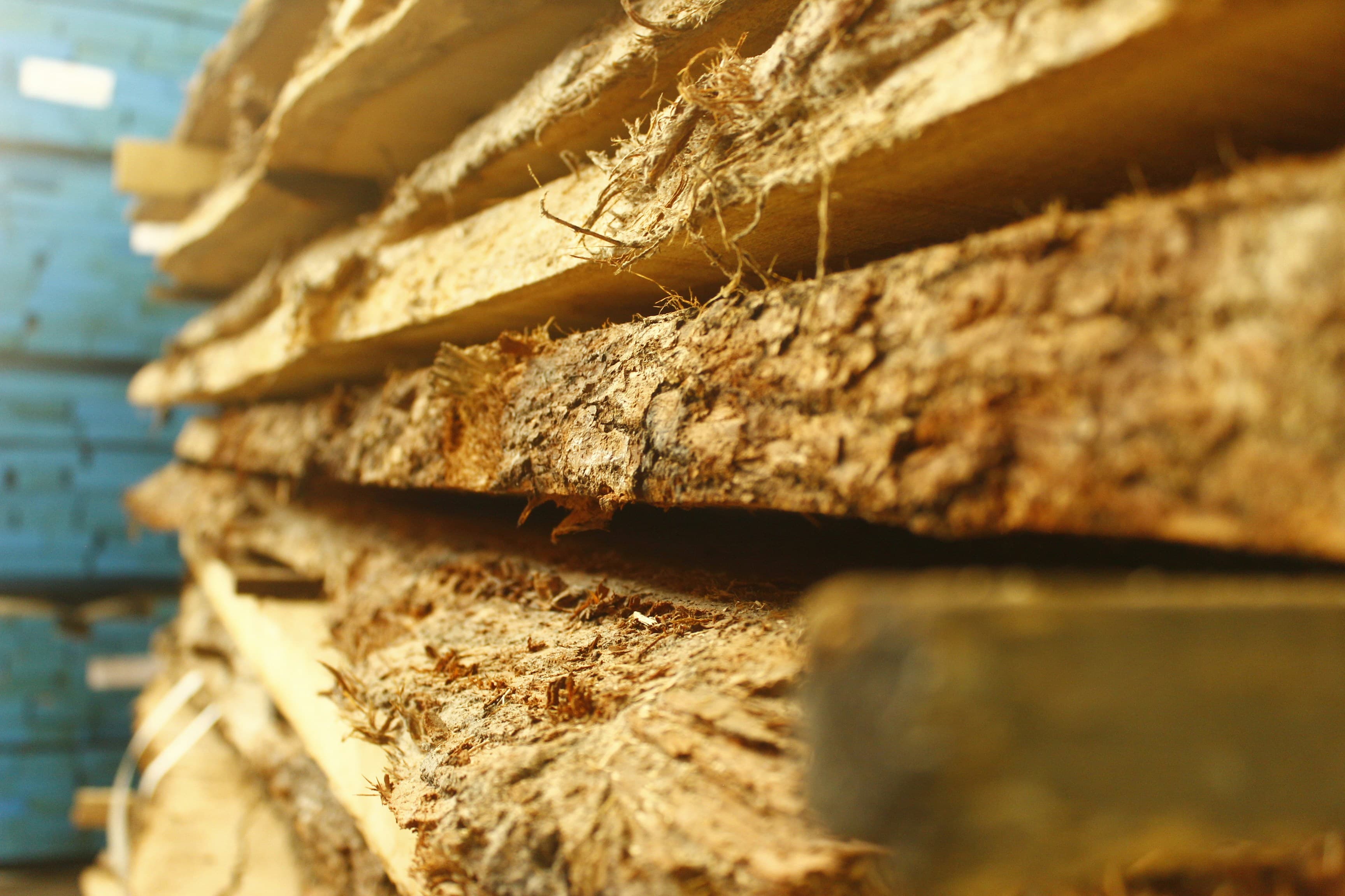 Lumber Sales in 2026: Tight Supply, Soft Demand, and a Market Searching for Its Footing